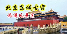 熟女荡妇中国北京-东城古宫旅游风景区